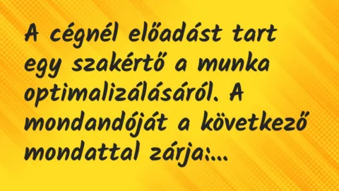 Vicc: A cégnél előadást tart egy szakértő a munka optimalizálásáról. A… Vicc: A cégnél előadást tart egy szakértő a munka optimalizálásáról. A…