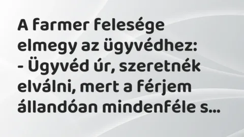 Vicc: A farmer felesége elmegy az ügyvédhez:

– Ügyvéd úr, szeretnék…
