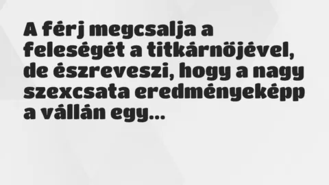Vicc: A férj megcsalja a feleségét a titkárnőjével, de észreveszi, hogy a… Vicc: A férj megcsalja a feleségét a titkárnőjével, de észreveszi, hogy a…