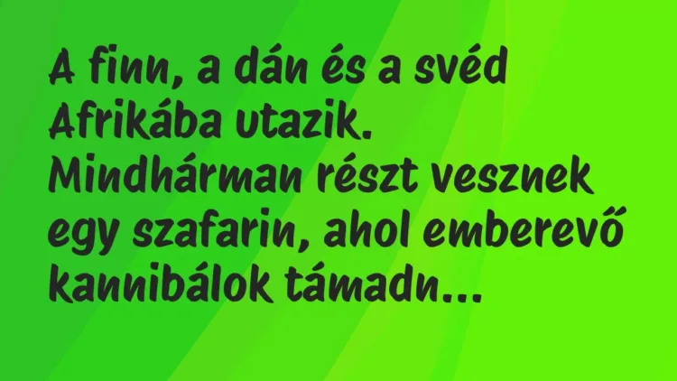 Vicc: A finn, a dán és a svéd Afrikába utazik. Mindhárman részt vesznek egy… Vicc: A finn, a dán és a svéd Afrikába utazik. Mindhárman részt vesznek egy…