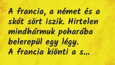 Vicc: A francia, a német és a skót sört iszik. Hirtelen mindhármuk poharába…