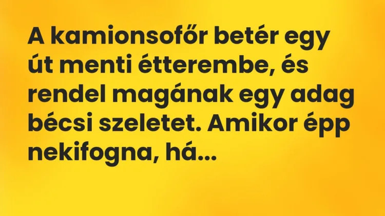 Vicc: A kamionsofőr betér egy út menti étterembe, és rendel magának egy adag… Vicc: A kamionsofőr betér egy út menti étterembe, és rendel magának egy adag…