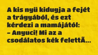 Vicc: A kis nyű kidugja a fejét a trágyából, és ezt kérdezi a… Vicc: A kis nyű kidugja a fejét a trágyából, és ezt kérdezi a…