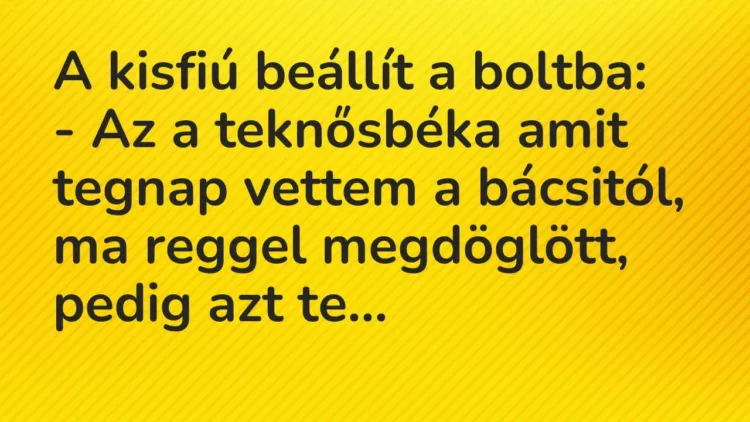 Vicc: A kisfiú beállít a boltba:
– Az a teknősbéka amit tegnap vettem a… Vicc: A kisfiú beállít a boltba:
– Az a teknősbéka amit tegnap vettem a…