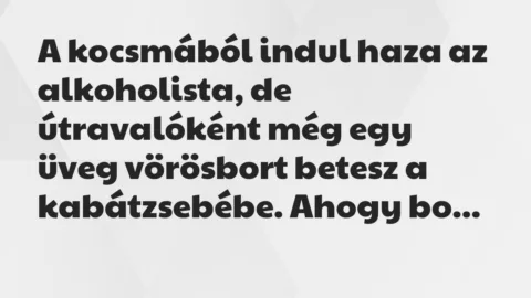 Vicc: A kocsmából indul haza az alkoholista, de útravalóként még egy üveg…