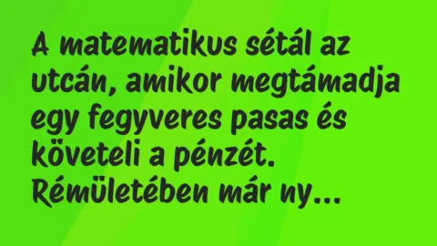 Vicc: A matematikus sétál az utcán, amikor megtámadja egy fegyveres pasas és… Vicc: A matematikus sétál az utcán, amikor megtámadja egy fegyveres pasas és…