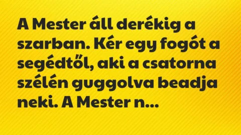 Vicc: A Mester áll derékig a szarban. Kér egy fogót a segédtől, aki a…