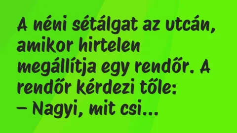 Vicc: A néni sétálgat az utcán, amikor hirtelen megállítja egy rendőr. Vicc: A néni sétálgat az utcán, amikor hirtelen megállítja egy rendőr.