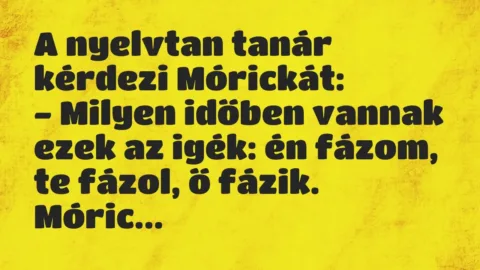 Vicc: A nyelvtan tanár kérdezi Mórickát:

– Milyen időben vannak ezek az…