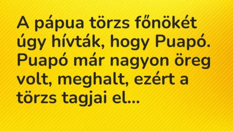 Vicc: A pápua törzs főnökét úgy hívták, hogy Puapó. Puapó már nagyon öreg… Vicc: A pápua törzs főnökét úgy hívták, hogy Puapó. Puapó már nagyon öreg…