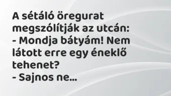 Vicc: A sétáló öregurat megszólítják az utcán: – Mondja bátyám! Nem…