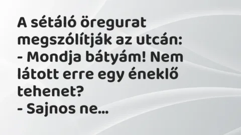 Vicc: A sétáló öregurat megszólítják az utcán:

– Mondja bátyám! Nem…