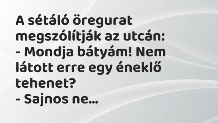 Vicc: A sétáló öregurat megszólítják az utcán: – Mondja bátyám! Nem…
