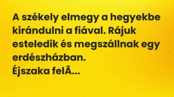 Vicc: A székely elmegy a hegyekbe kirándulni a fiával. Rájuk esteledik és…