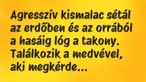 Vicc: Agresszív kismalac sétál az erdőben és az orrából a hasáig lóg a… Vicc: Agresszív kismalac sétál az erdőben és az orrából a hasáig lóg a…