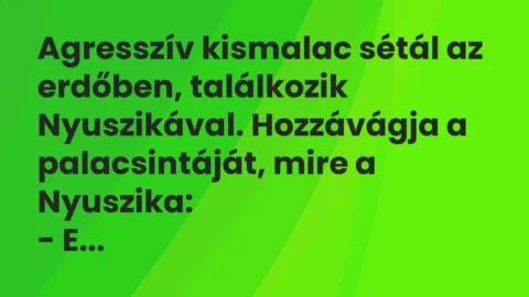 Vicc: Agresszív kismalac sétál az erdőben, találkozik Nyuszikával….
