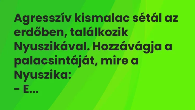 Vicc: Agresszív kismalac sétál az erdőben, találkozik Nyuszikával…. Vicc: Agresszív kismalac sétál az erdőben, találkozik Nyuszikával….