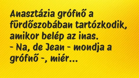 Vicc: Anasztázia grófnő a fürdőszobában tartózkodik, amikor belép az… Vicc: Anasztázia grófnő a fürdőszobában tartózkodik, amikor belép az…