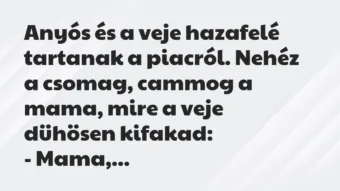 Vicc: Anyós és a veje hazafelé tartanak a piacról. Nehéz a csomag, cammog a…