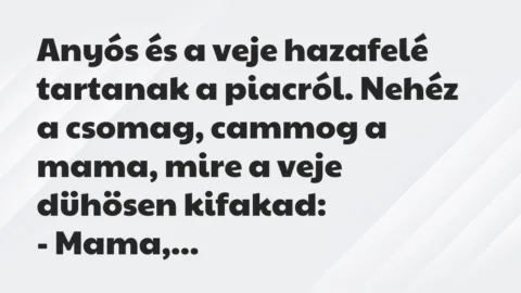 Vicc: Anyós és a veje hazafelé tartanak a piacról. Nehéz a csomag, cammog a…