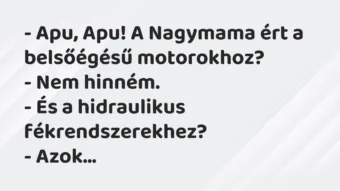 Vicc: – Apu, Apu! A Nagymama ért a belsőégésű motorokhoz? – Nem… Vicc: – Apu, Apu! A Nagymama ért a belsőégésű motorokhoz? – Nem…