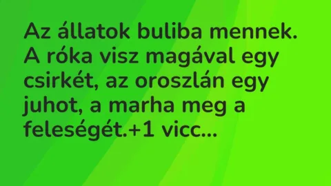 Vicc: Az állatok buliba mennek. A róka visz magával egy csirkét, az oroszlán…