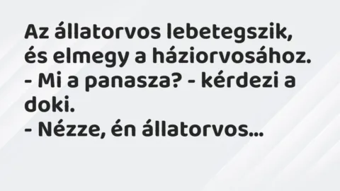 Vicc: Az állatorvos lebetegszik, és elmegy a háziorvosához.

– Mi a…