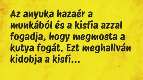 Vicc: Az anyuka hazaér a munkából és a kisfia azzal fogadja, hogy megmosta a… Vicc: Az anyuka hazaér a munkából és a kisfia azzal fogadja, hogy megmosta a…