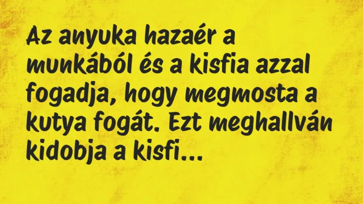 Vicc: Az anyuka hazaér a munkából és a kisfia azzal fogadja, hogy megmosta a…