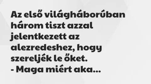 Vicc: Az első világháborúban három tiszt azzal jelentkezett az alezredeshez,…