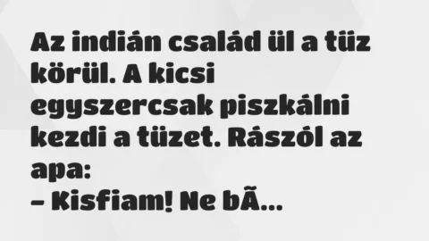 Vicc: Az indián család ül a tűz körül. A kicsi egyszercsak piszkálni kezdi a… Vicc: Az indián család ül a tűz körül. A kicsi egyszercsak piszkálni kezdi a…