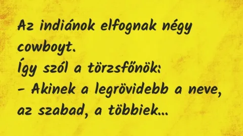 Vicc: Az indiánok elfognak négy cowboyt.

Így szól a törzsfőnök:

-…