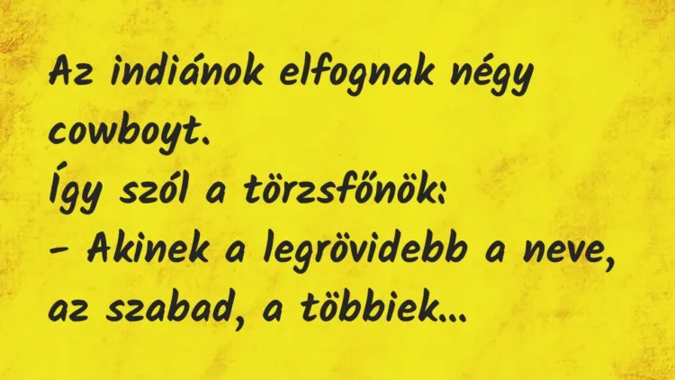 Vicc: Az indiánok elfognak négy cowboyt.
Így szól a törzsfőnök:
-… Vicc: Az indiánok elfognak négy cowboyt.
Így szól a törzsfőnök:
-…