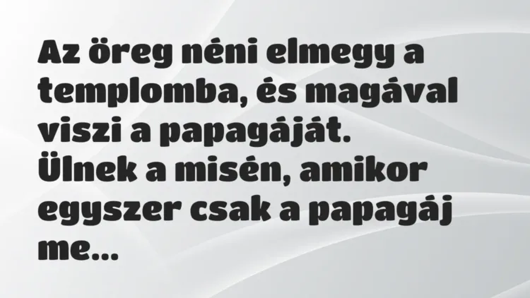 Vicc: Az öreg néni elmegy a templomba, és magával viszi a… Vicc: Az öreg néni elmegy a templomba, és magával viszi a…