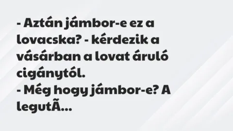 Vicc: – Aztán jámbor-e ez a lovacska? – kérdezik a vásárban a lovat áruló… Vicc: – Aztán jámbor-e ez a lovacska? – kérdezik a vásárban a lovat áruló…