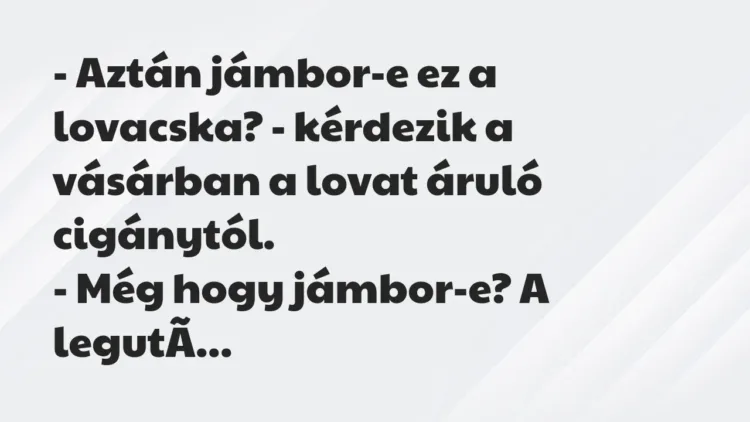 Vicc: – Aztán jámbor-e ez a lovacska? – kérdezik a vásárban a lovat áruló… Vicc: – Aztán jámbor-e ez a lovacska? – kérdezik a vásárban a lovat áruló…