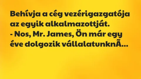 Vicc: Behívja a cég vezérigazgatója az egyik alkalmazottját.

– Nos, Mr….