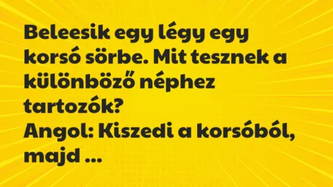 Vicc: Beleesik egy légy egy korsó sörbe. Mit tesznek a különböző néphez…