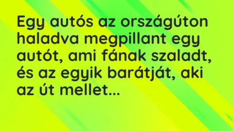 Vicc: Egy autós az országúton haladva megpillant egy autót, ami fának…