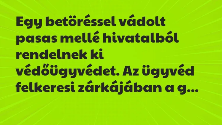 Vicc: Egy betöréssel vádolt pasas mellé hivatalból rendelnek ki…