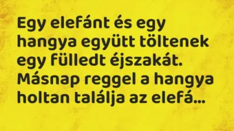 Vicc: Egy elefánt és egy hangya együtt töltenek egy fülledt éjszakát. Másnap…