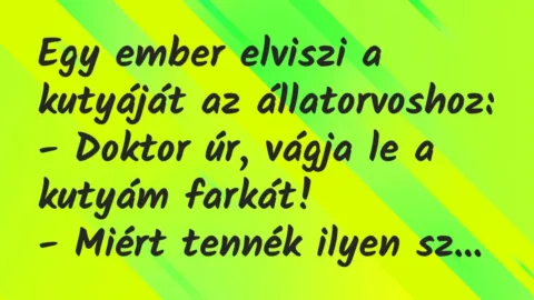 Vicc: Egy ember elviszi a kutyáját az állatorvoshoz:

– Doktor úr, vágja…