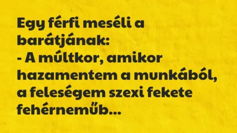 Vicc: Egy férfi meséli a barátjának:
– A múltkor, amikor hazamentem a… Vicc: Egy férfi meséli a barátjának:
– A múltkor, amikor hazamentem a…