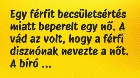 Vicc: Egy férfit becsületsértés miatt beperelt egy nő. A vád az volt, hogy a…