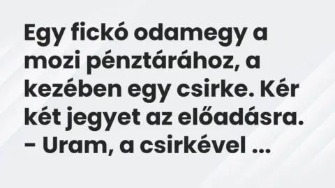 Vicc: Egy fickó odamegy a mozi pénztárához, a kezében egy csirke. Kér két…
