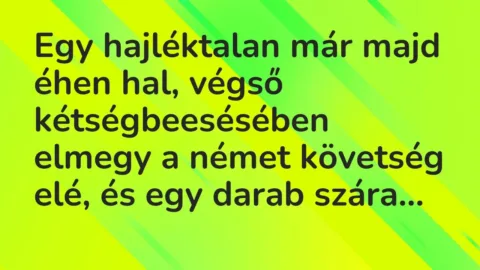 Vicc: Egy hajléktalan már majd éhen hal, végső kétségbeesésében elmegy a…