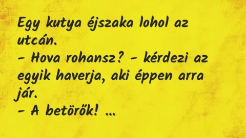 Vicc: Egy kutya éjszaka lohol az utcán.

– Hova rohansz? – kérdezi az…