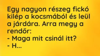 Vicc: Egy nagyon részeg fickó kilép a kocsmából és leül a járdára. Arra megy…