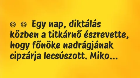 Vicc:
Egy nap, diktálás közben a titkárnő észrevette, hogy főnöke… Vicc:
Egy nap, diktálás közben a titkárnő észrevette, hogy főnöke…