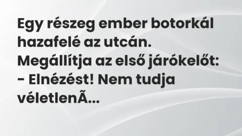 Vicc: Egy részeg ember botorkál hazafelé az utcán. Megállítja az első…